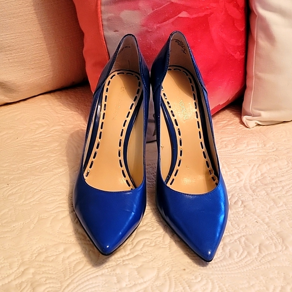 Bright Blue Pointed Toe Pump